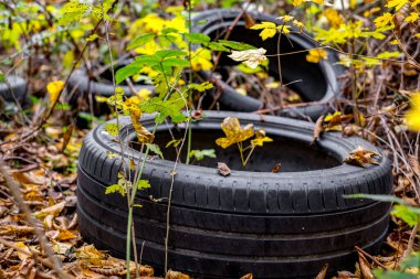 Kullanılmış araba lastikleri ormanı kirletiyor.