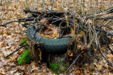 Kullanılmış araba lastikleri ormanı kirletiyor.