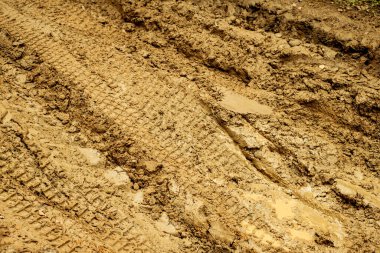 Çamurda araba izleri var.