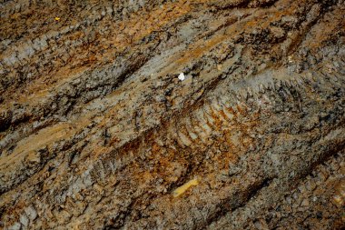 Çamurda araba izleri var.