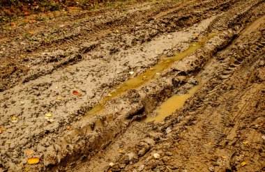 Çamurda araba izleri var.