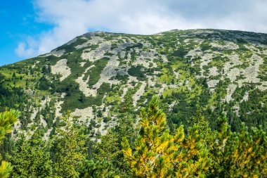 Romanya 'daki vahşi Retezat Milli Parkı manzarası