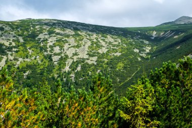 Romanya 'daki vahşi Retezat Milli Parkı manzarası