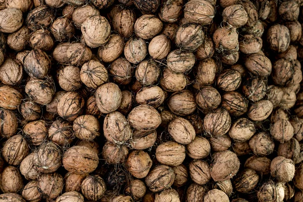 Nyplockade Valnötter Bakgrund Struktur — Stockfoto