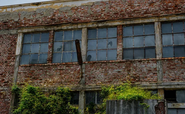 Old Industrial Building Decay — Stock Photo, Image