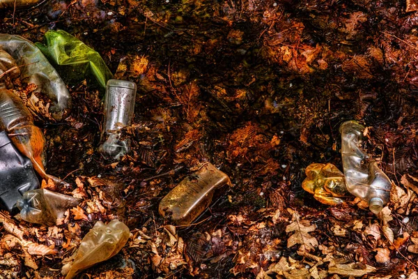 Garrafas Plástico Poluindo Lago Floresta — Fotografia de Stock
