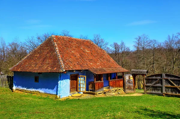 Traditionellt Rumänskt Lerhus Med Gräsmatta — Stockfoto