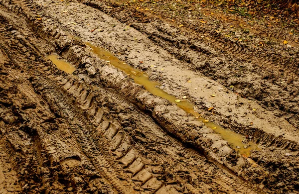 Sporen Van Auto Modder — Stockfoto