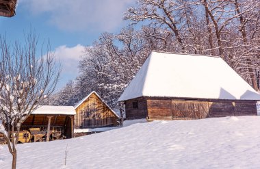 Transilvanya 'nın geleneksel Romen köyü soğuk bir günde eski ev saman çatısı karla kaplı.