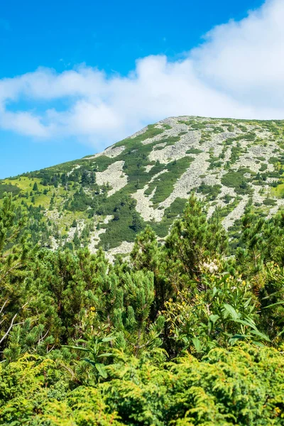 Vista Sul Parco Nazionale Selvaggio Retezat Romania — Foto Stock