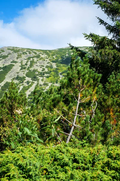Vista Sul Parco Nazionale Selvaggio Retezat Romania — Foto Stock