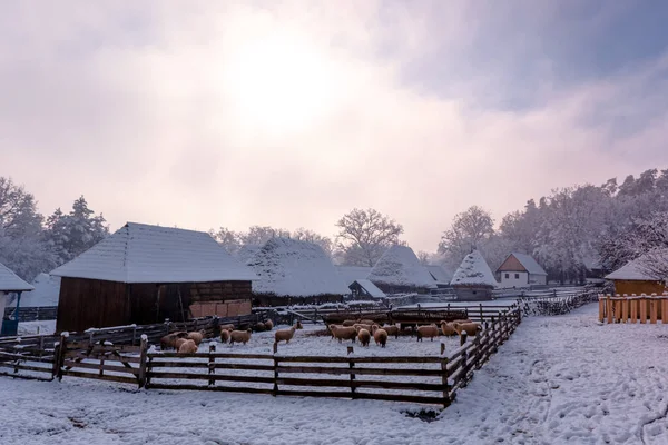 Традиционная Румынская Деревня Трансильвании Старой Соломенной Кровлей Покрытой Снегом Холодный — стоковое фото