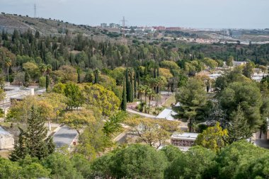 Malaga, İspanya - 24 Şubat 2018 Ünlü Malaga Park Mezarlığı Mezarlığı Mezarlığı, çiçek buketleriyle süslenmiş