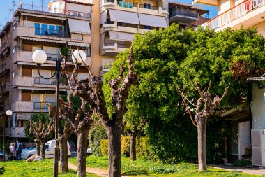 Atina, Yunanistan - 12 Şubat 2020 Atina 'nın güzel caddeleri apartmanlar, arabalar ve dükkanlar