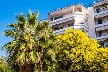 Atina, Yunanistan - 12 Şubat 2020 Atina 'nın güzel caddeleri apartmanlar, arabalar ve dükkanlar