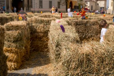 Sibiu, Romanya - 07 Eylül 2019. Geleneksel gıda ve mevsimlik ürünlerle Sibiu şehrinde Yıllık Sonbahar Hasat Festivali, Büyük Meydan, Transilvanya