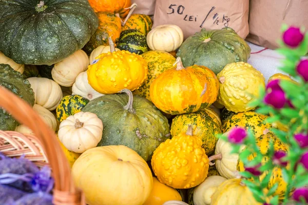 Sibiu, Romanya - 16 Kasım 2019. Romanya 'nın Transilvanya kentinin tarihi merkezindeki Geleneksel Noel pazarına bakış.