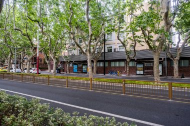 Şangay, Çin - 26 Nisan 2025 Muhteşem şehir Şangay 'da yürüyüş turu, hareketli bir şehir sokak sahnesi