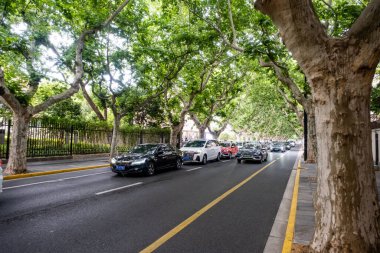 Şangay, Çin - 26 Nisan 2025 Muhteşem şehir Şangay 'da yürüyüş turu, hareketli bir şehir sokak sahnesi