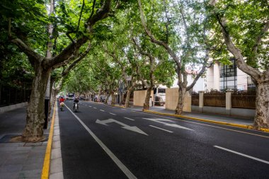 Şangay, Çin - 26 Nisan 2025 Muhteşem şehir Şangay 'da yürüyüş turu, hareketli bir şehir sokak sahnesi