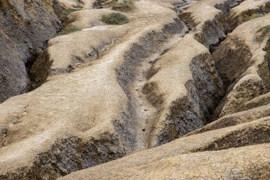 Kuru, kurak, dalgalı, kumlu tepelerin olduğu küçük, kaba çakıl taşları ve seyrek çimen parçalarından oluşan bir yüzey.
