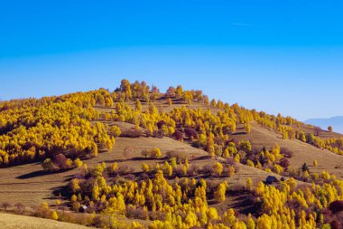 Güzel sonbahar manzaraları dağlarda