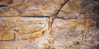 Toprakta korunmuş iskelet fosilleri, arkeolojik araştırmalar için, özellikle kireçtaşının çözülmesinin benzersiz bozulmalar yarattığı karistik ortamlarda önemli bilgiler sunmaktadır.