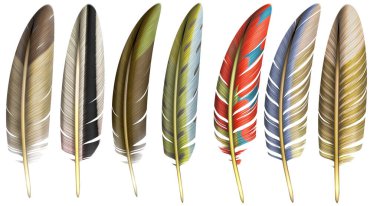 Şeffaf arka planda izole edilmiş bir tüy, basit tasarım dekoratif doğanın dijital illüstrasyon koleksiyonu yumuşak dokudan esinlenilmiş yaratıcı sanatsal barışçıl ruh hali