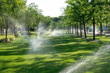 yemyeşil bir bahçeyi sulayan otomatik sulama sistemi. Sahne güneş tarafından aydınlatılır, su damlacıkları havada görünür.