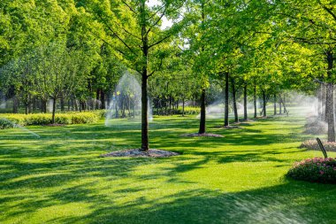 yemyeşil bir bahçeyi sulayan otomatik sulama sistemi. Sahne güneş tarafından aydınlatılır, su damlacıkları havada görünür.
