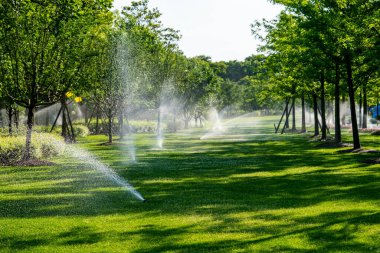 yemyeşil bir bahçeyi sulayan otomatik sulama sistemi. Sahne güneş tarafından aydınlatılır, su damlacıkları havada görünür.