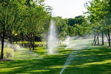 yemyeşil bir bahçeyi sulayan otomatik sulama sistemi. Sahne güneş tarafından aydınlatılır, su damlacıkları havada görünür.