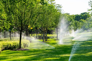 yemyeşil bir bahçeyi sulayan otomatik sulama sistemi. Sahne güneş tarafından aydınlatılır, su damlacıkları havada görünür.