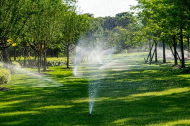 yemyeşil bir bahçeyi sulayan otomatik sulama sistemi. Sahne güneş tarafından aydınlatılır, su damlacıkları havada görünür.