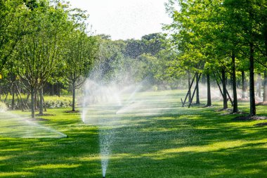 yemyeşil bir bahçeyi sulayan otomatik sulama sistemi. Sahne güneş tarafından aydınlatılır, su damlacıkları havada görünür.