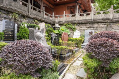 Chongqing, Çin - 09 Mayıs 2025 Chongqing, Çin 'in Jiulongpo Bölgesi, Huayan Tapınağı' ndaki geleneksel bir Çin Budist zen tapınağı, doğal manzarayı antik mimariyle harmanlıyor.