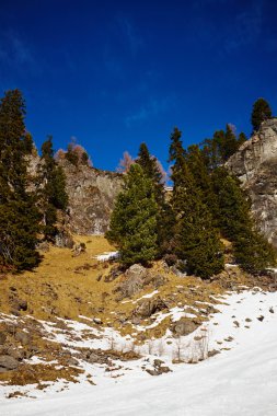 Mavi gökyüzü ve rocky Dağları