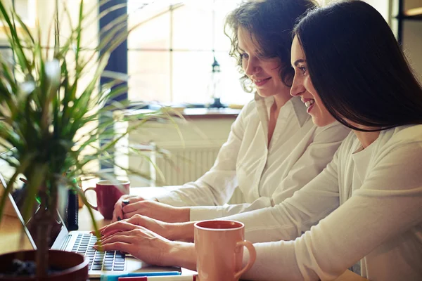 Zwei hübsche Frauen, die zusammen am Laptop arbeiten — Stockfoto