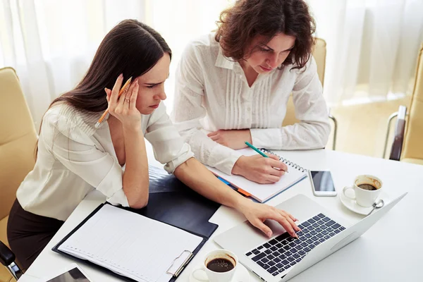 Two young women teamworking on the notebook in the office — Stock Photo, Image