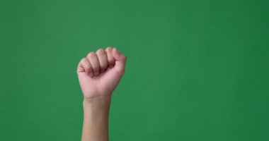El hareketi tamam işareti yeşil ekran üzerinde