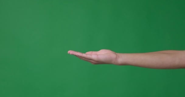 Mężczyzna pokazując otwartą dłoń nad zielonym ekranem — Wideo stockowe