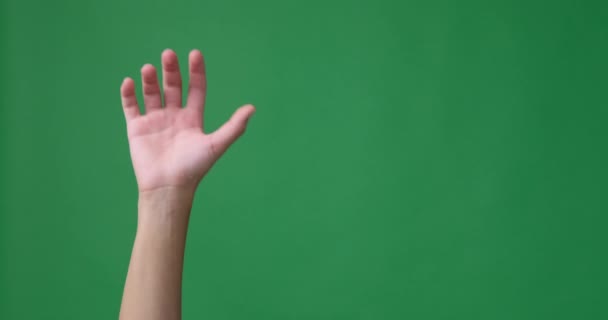 녹색 화면 위에 꽉 쥐는 주먹으로 손짓하는 손 — 비디오