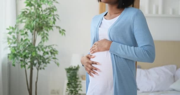 Femme enceinte caressant son ventre à la maison — Video