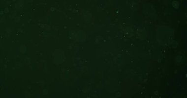Yüzen yeşil bokeh ışığı ve toz parçacıkları