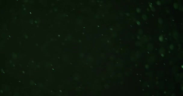 Luce verde galleggiante bokeh e particelle di polvere — Video Stock