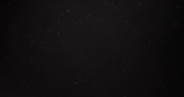 Zwevend wit deeltjesstof over donkere achtergrond — Stockvideo