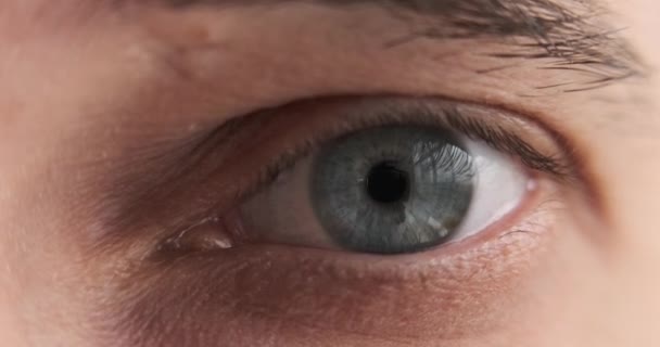Закрыть мигающий человеческий глаз — стоковое видео