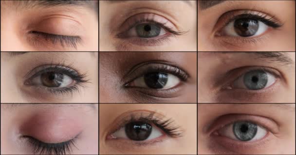Grid of blinking human eyes — Stock Video