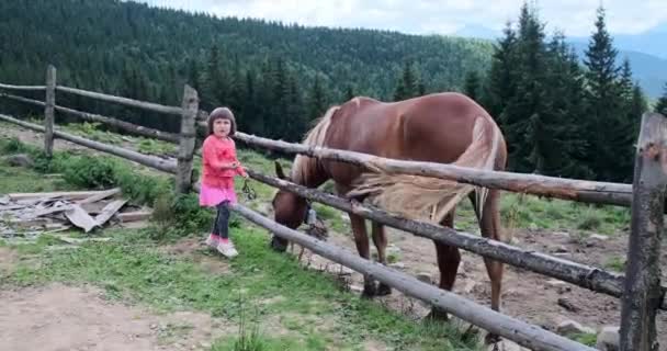 Dívka krmení koně a běh na farmě — Stock video