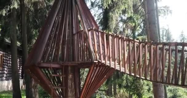 Junge läuft auf Holzbrücke und klettert Leiter hinunter — Stockvideo